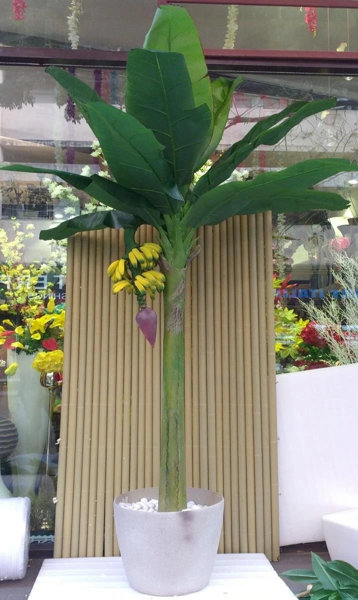 Banana tree/with fruit-250cm